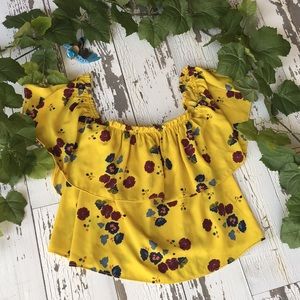 Zara Trafaluc Collection off the shoulder top